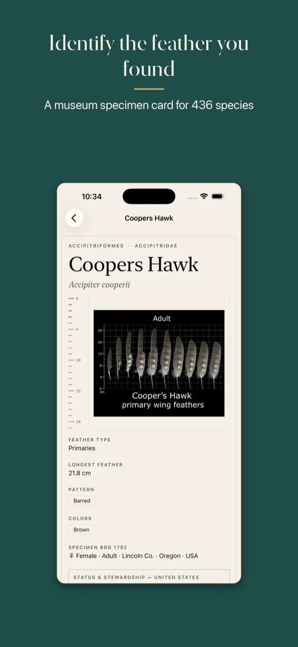 Plumes screenshot